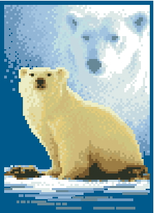 Janlynn013-0308-Forever_Wild-Polar_Bear