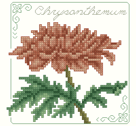 SD_L-210_Chrysanthemum