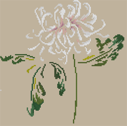 DMC-Chrysanthemum.