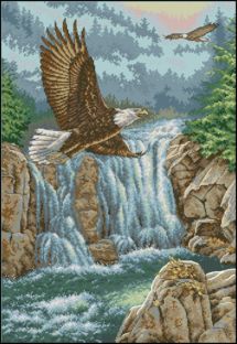 DIM35225-Величественность орла