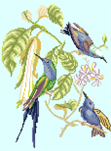Hummingbirds Trea