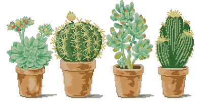 DMC_Cactuses