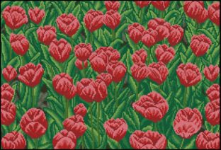 DMC 0122PH-07 Red Tulips