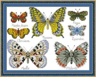 Butterfly Collection2