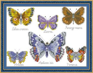 Butterfly Collection 1