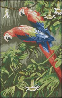 Parrots Jewels of the forest