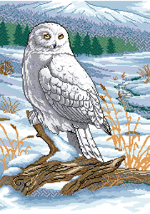 The Stately Snowy Owl