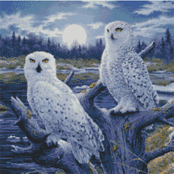 KK99333 Moonlight Owls