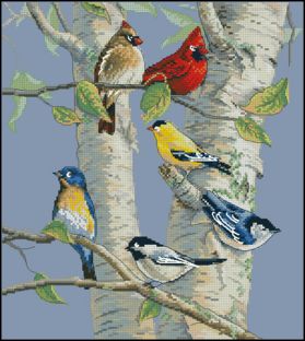 Dimensions 35252 - Birch Tree Birds