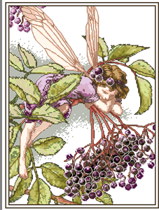 DMC The Elderberry Fairy