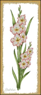 Anchor PCE Gladiolus