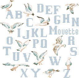 ABC Mouettes