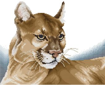 Portrait of a Cougar