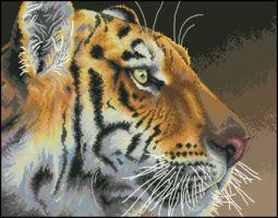 Dimensions35171 regal tiger