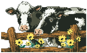 Dim 06715 cows