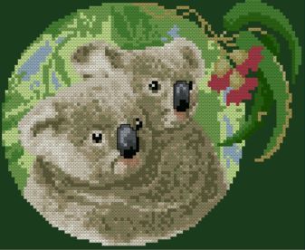 Jill Oxtons CS 42 Koala
