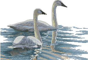 Dimensions 03879 - Graceful Swan