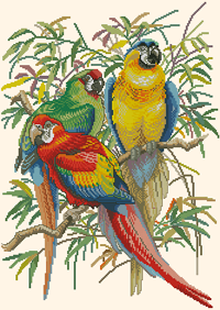 3 попугая