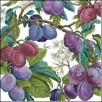 A_passion_for_plums
