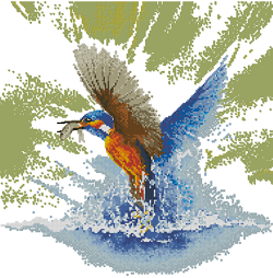 Kingfisher_in_Flight