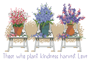 Dimensions65008 Plant Kindness