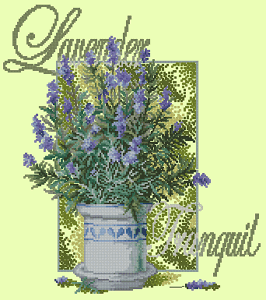Lavender Tranquil