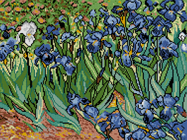 HP478 V van Gogh - Irysy
