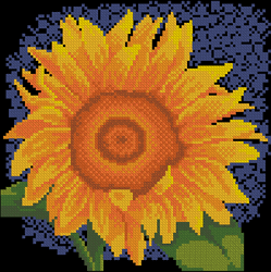 ZR Yellow Flower Sunflower