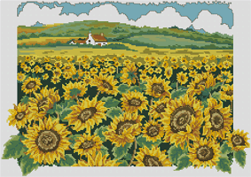 Anchor AD101 Sunflower Field