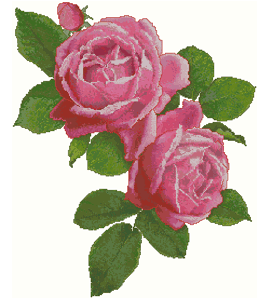 SL136 Queen of Roses