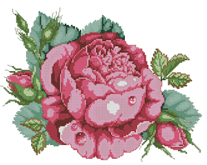 Роза с каплей росы
