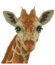 Giraffa DMC